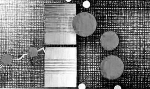 The India Tariff Gambit: A Macro Liquidity Signal for Crypto Markets The India Tariff Gambit: A Macro Liquidity Signal for Crypto Markets