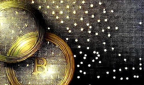 The Wiener Fall: A Forensic Analysis of Crypto's Latest Ponzi and What It Means for Regulation The Wiener Fall: A Forensic Analysis of Crypto's Latest Ponzi and What It Means for Regulation
