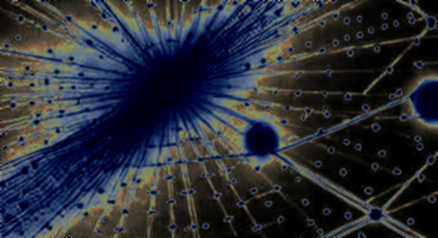 The Oracle Key That Opened an $18M Hole: Ostium’s Fatal Flaw