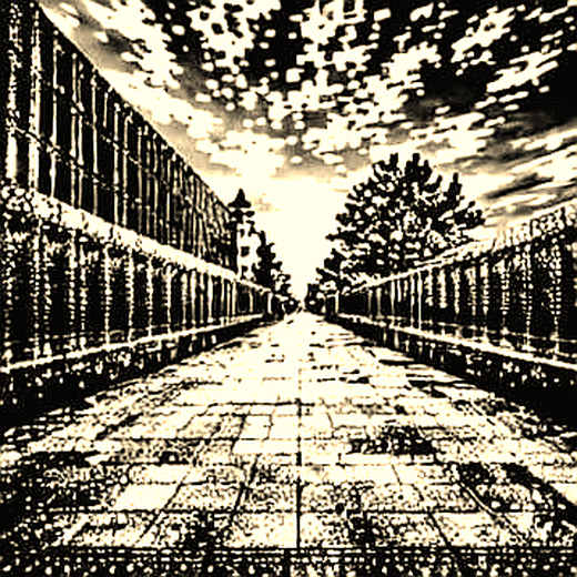 Prediction Market ETFs: The Institutional Wrapper That Breaks the Consensus