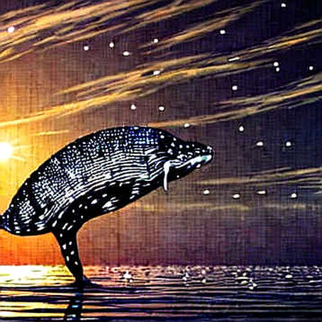 The Polymarket Paradox: When Decentralized Betting Thrives in the Regulatory Shadows The Polymarket Paradox: When Decentralized Betting Thrives in the Regulatory Shadows