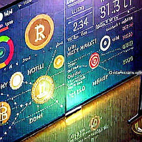 The $8.8 Billion Altcoin Vaporization: A Structural Shift or Just a Macro Flu? The $8.8 Billion Altcoin Vaporization: A Structural Shift or Just a Macro Flu?